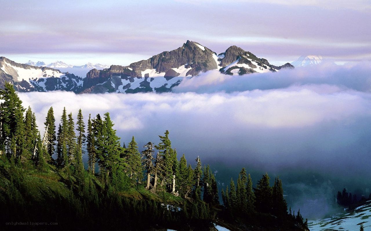Mountain peaks above clouds