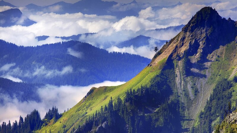 Mountain peaks above clouds