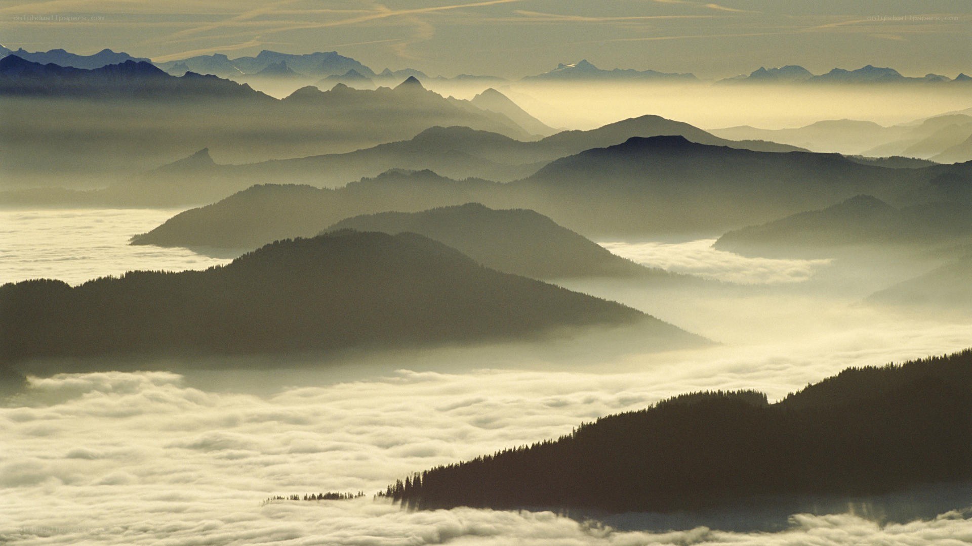 Mountain peaks above clouds