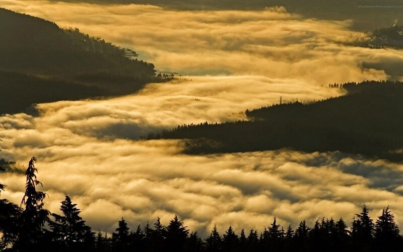 Mountain Peaks Above Clouds — Gold, Serene, Sunrise, Photograph, Forests