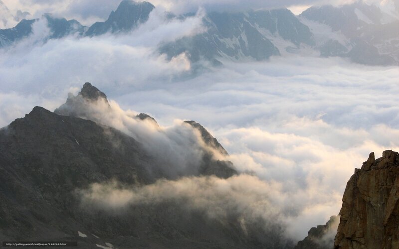 Mountain Peaks Above Clouds — Gray, Dramatic, Morning