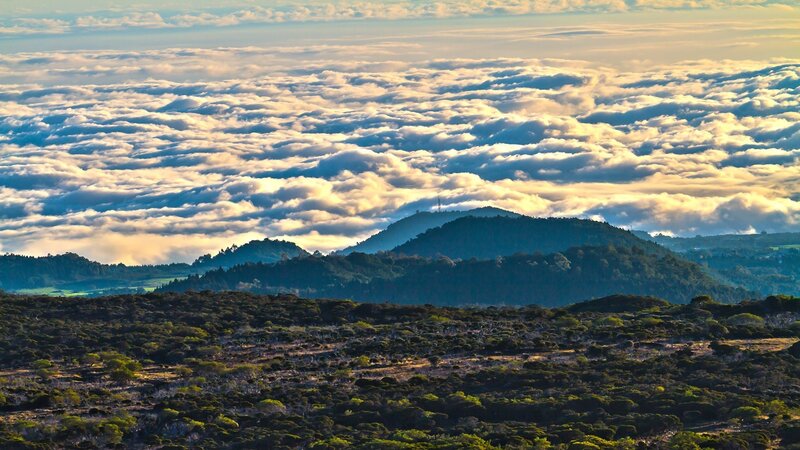 Mountain Peaks Above Clouds — Green, Serene, Morning, Photograph, Hills