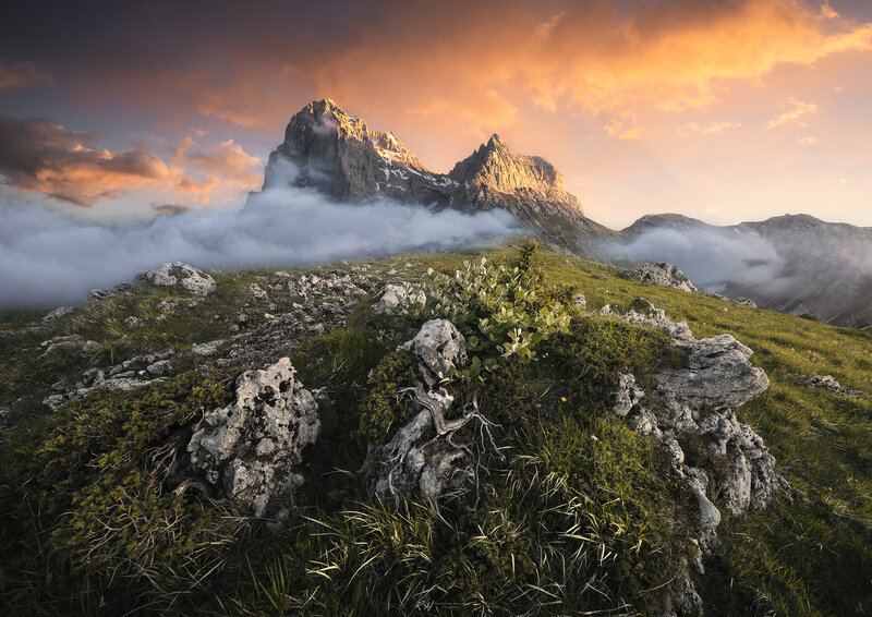 Mountain Peaks Above Clouds — Orange, Dramatic, Sunrise, Photograph, Grass