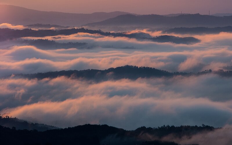 Mountain Peaks Above Fog — Purple