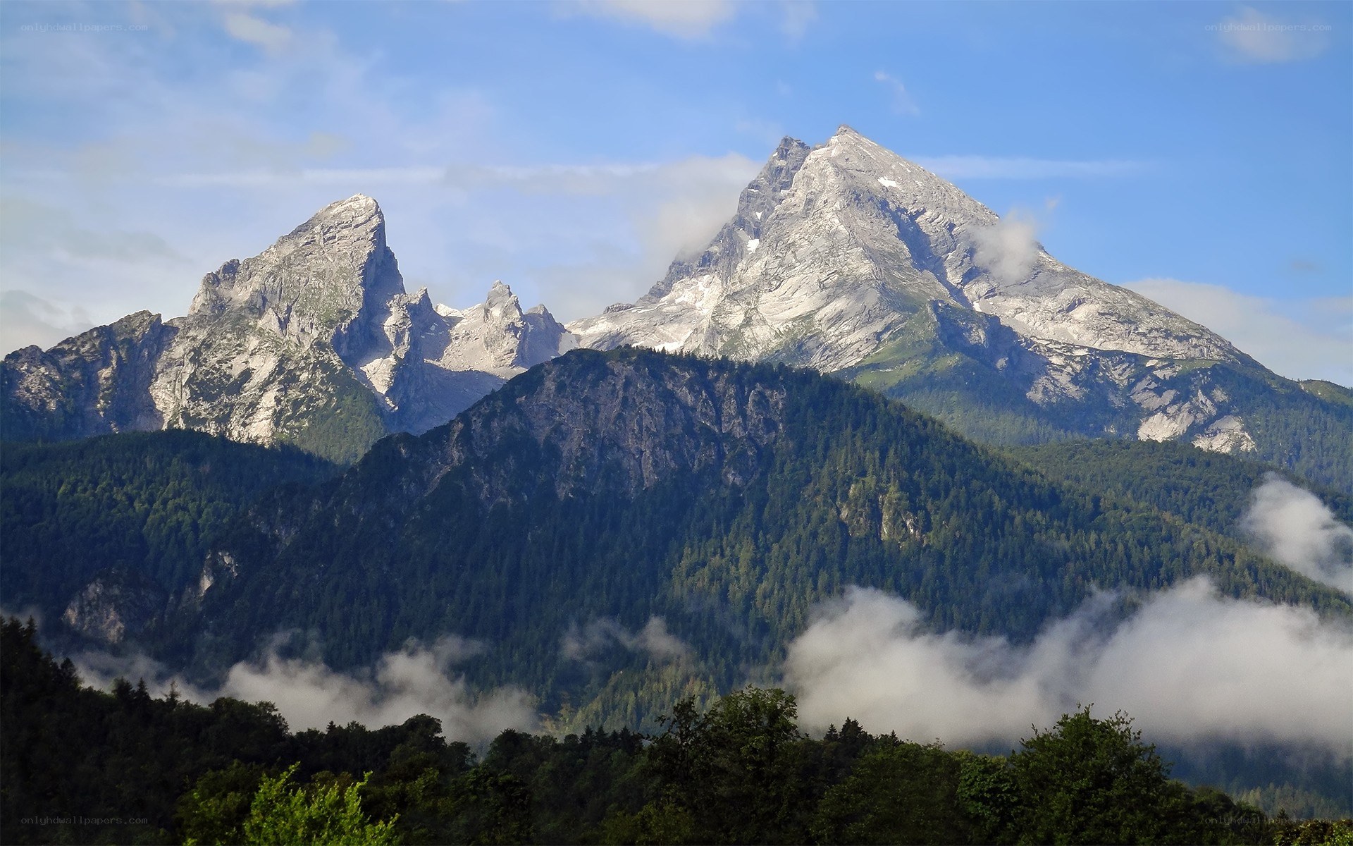 Mountain peaks above forest clouds