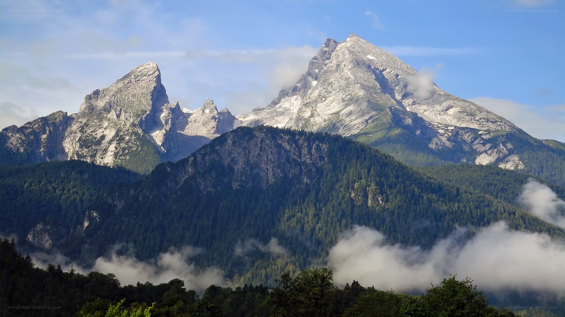 Mountain peaks above forest mist