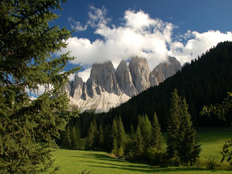 mountain peaks above forest