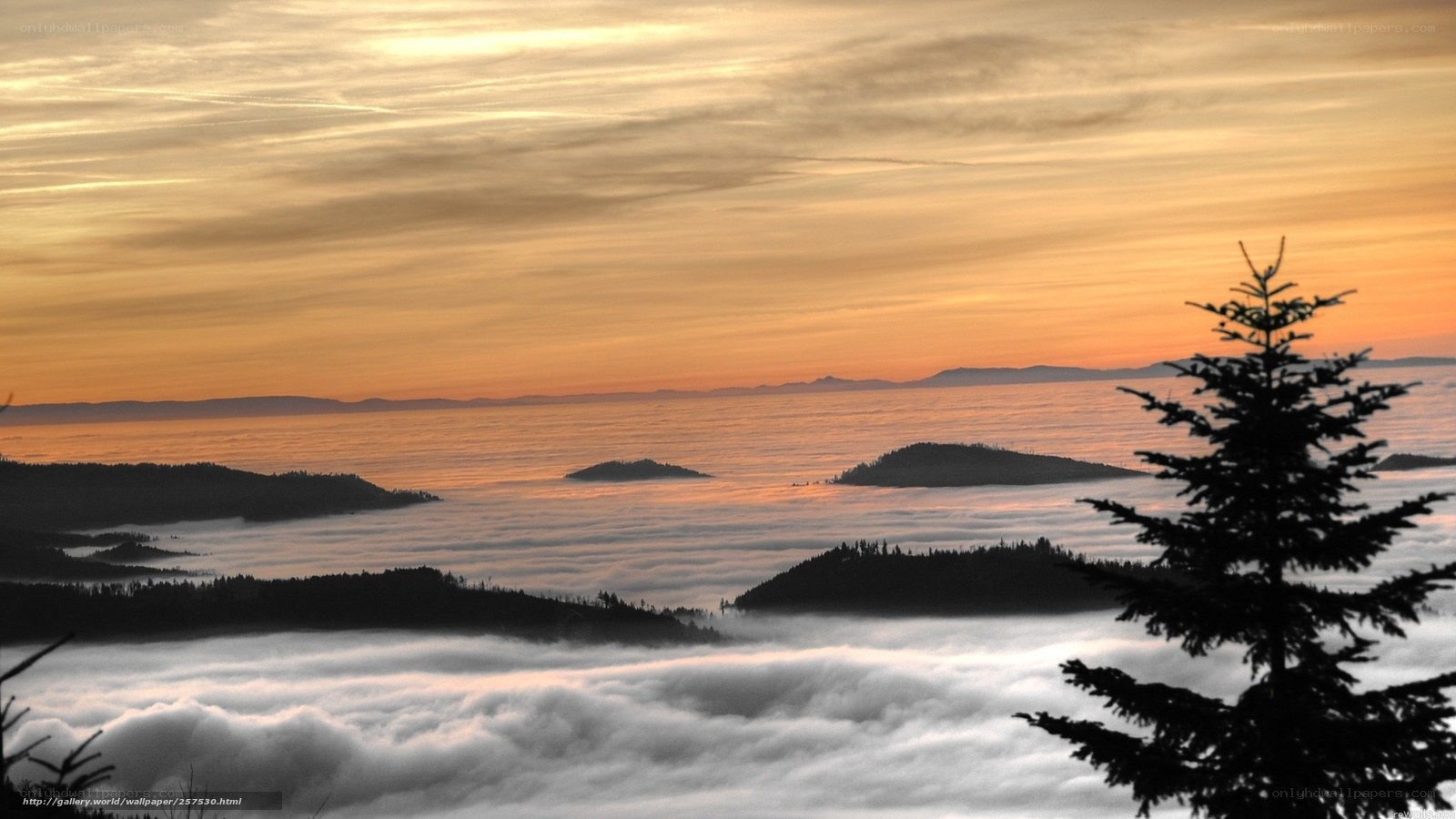 Mountain peaks above sea of clouds