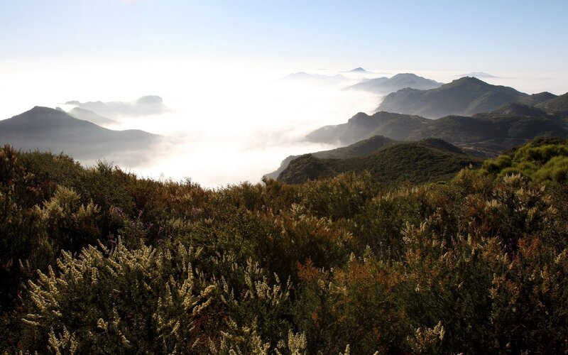 Mountain peaks above the clouds