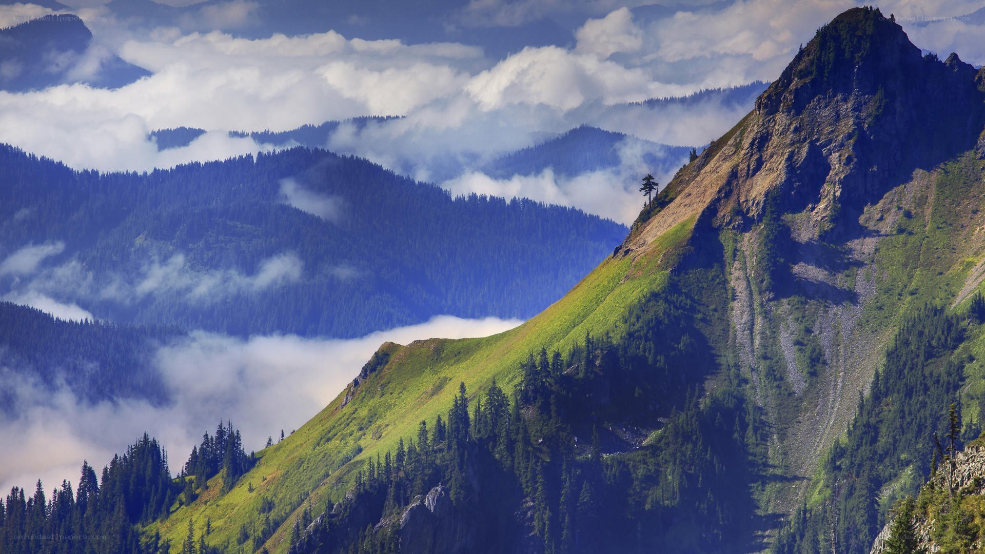 Mountain peaks above the clouds