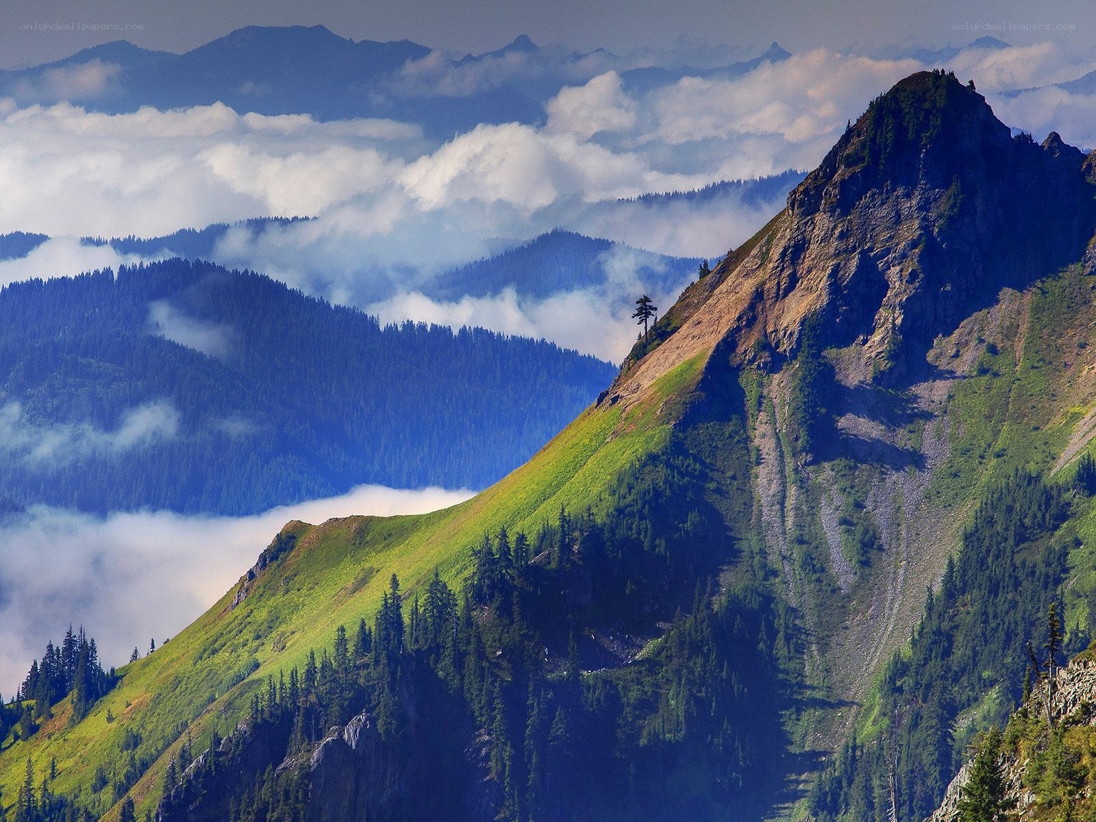 Mountain peaks above the clouds