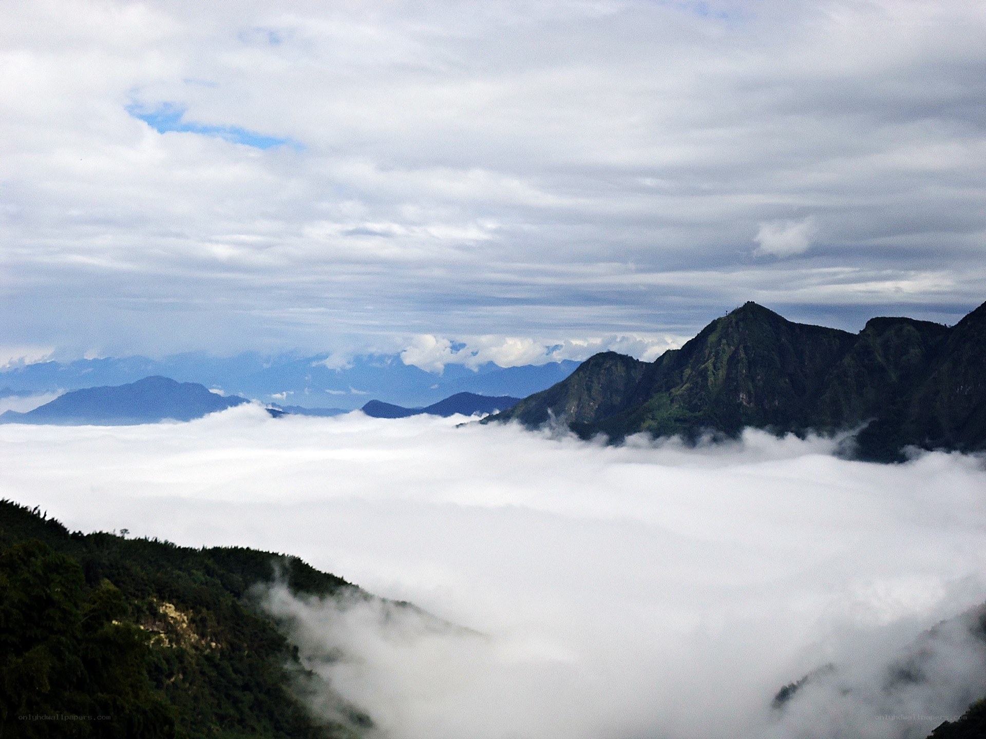 Mountain peaks above the clouds