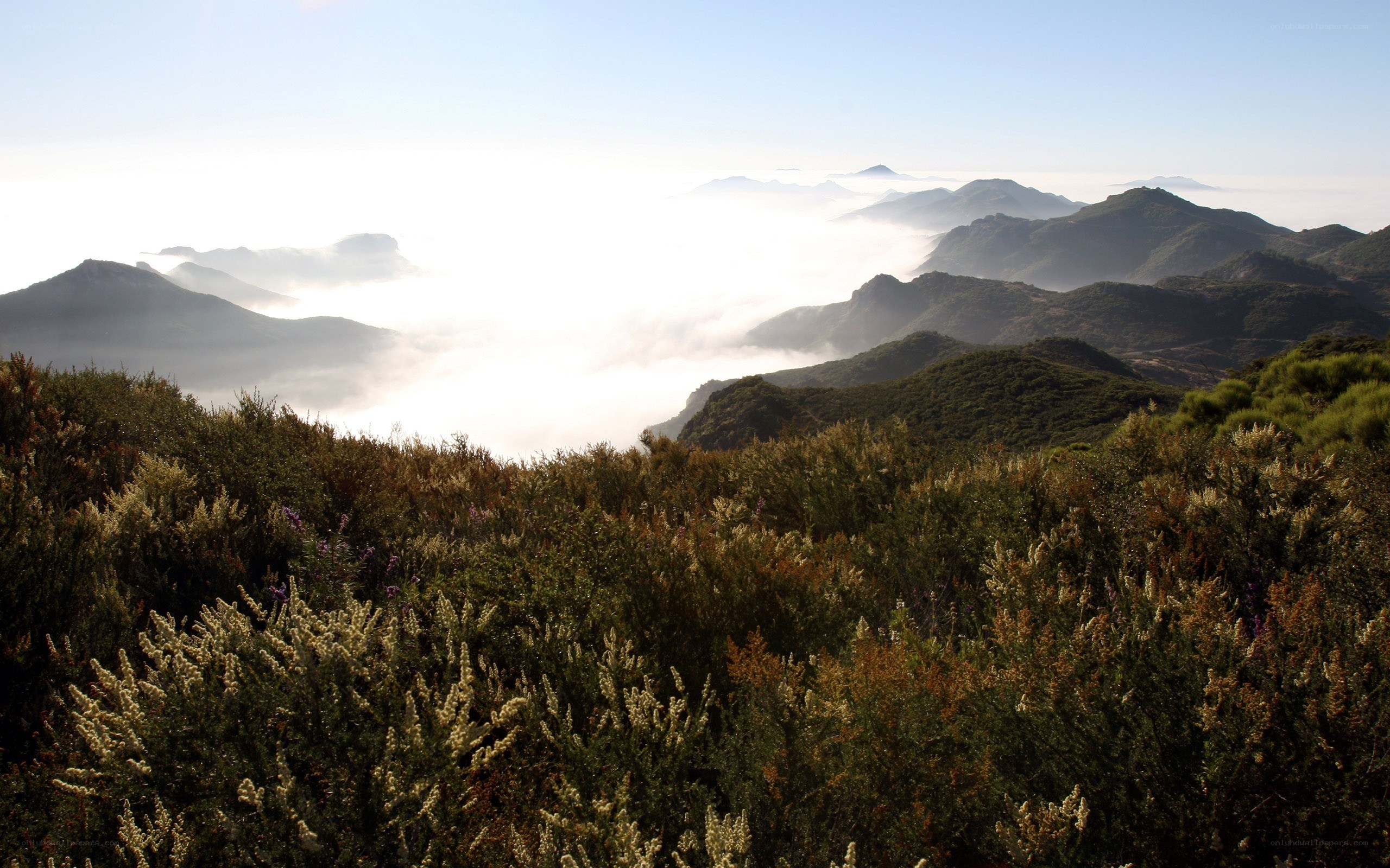 Mountain peaks above the clouds