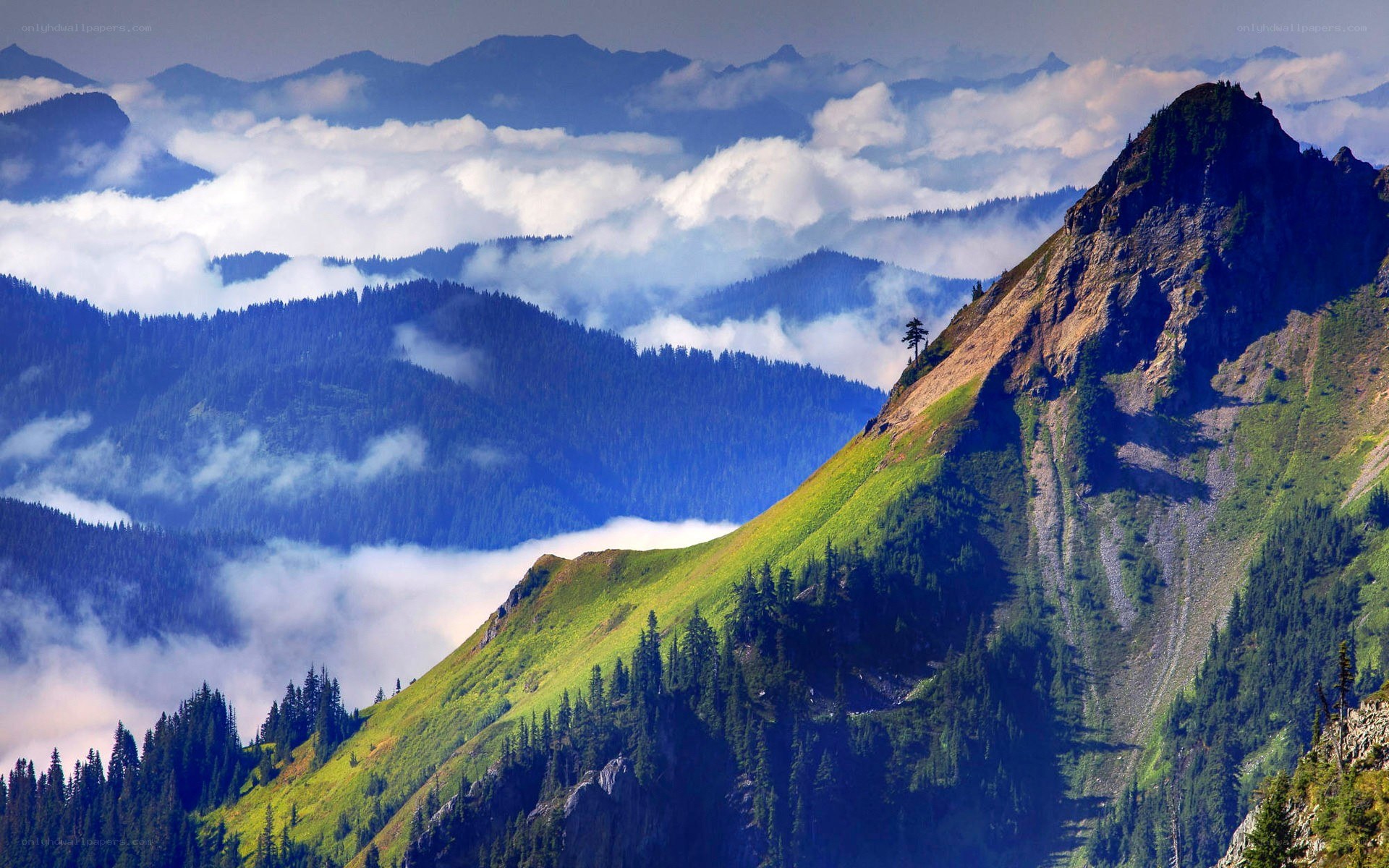 Mountain peaks above the clouds