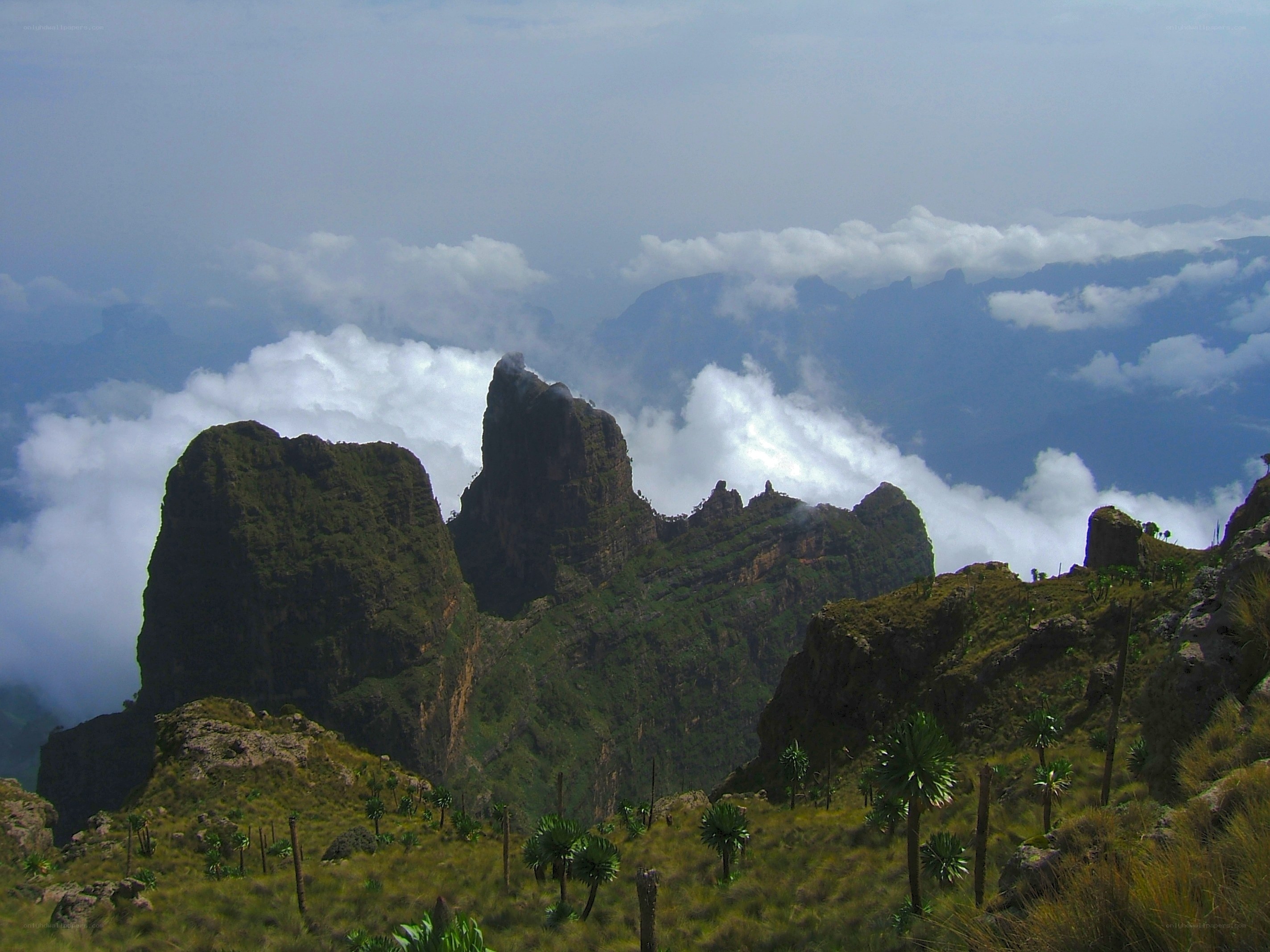 Mountain peaks above the clouds