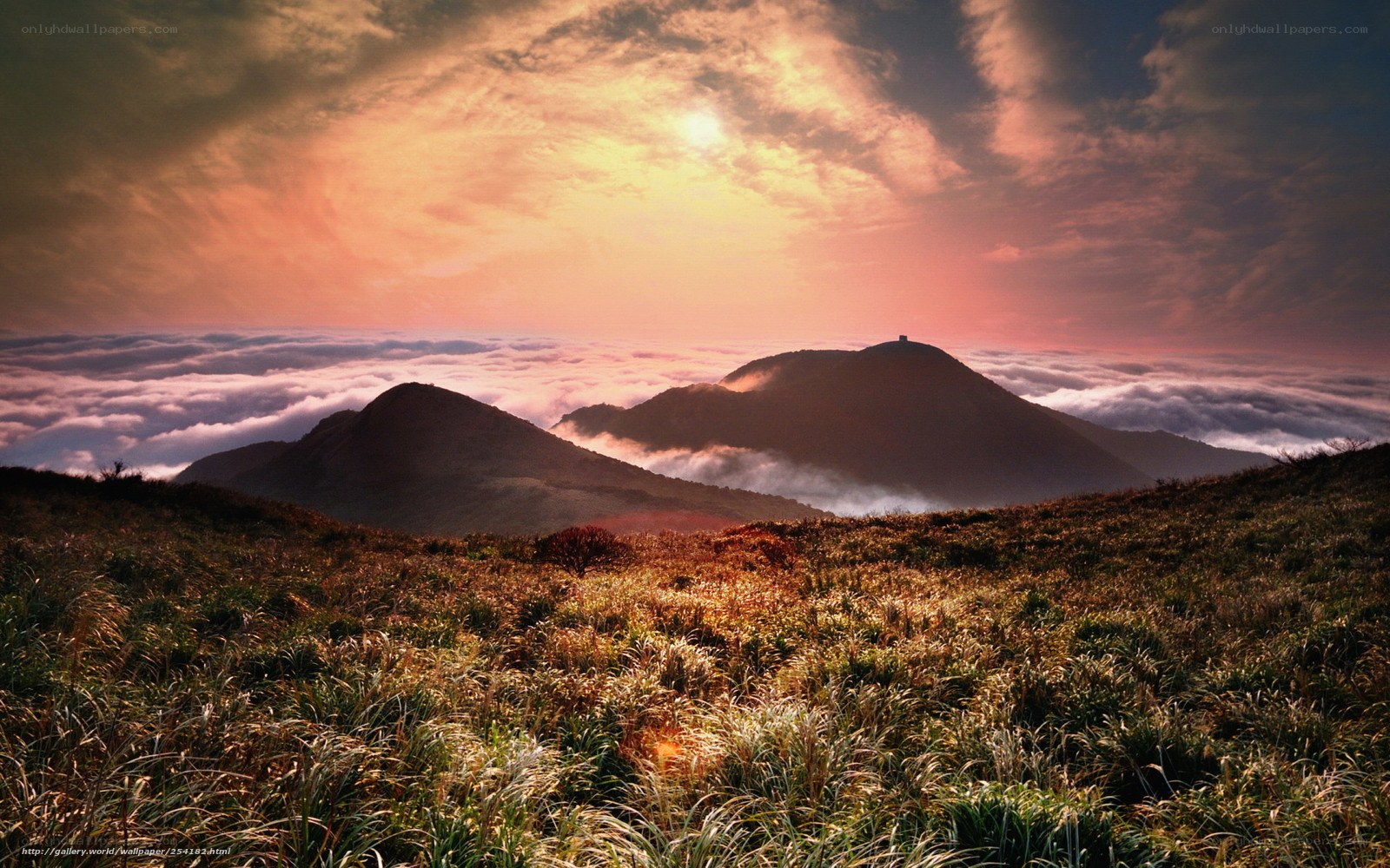 Mountain peaks above the clouds