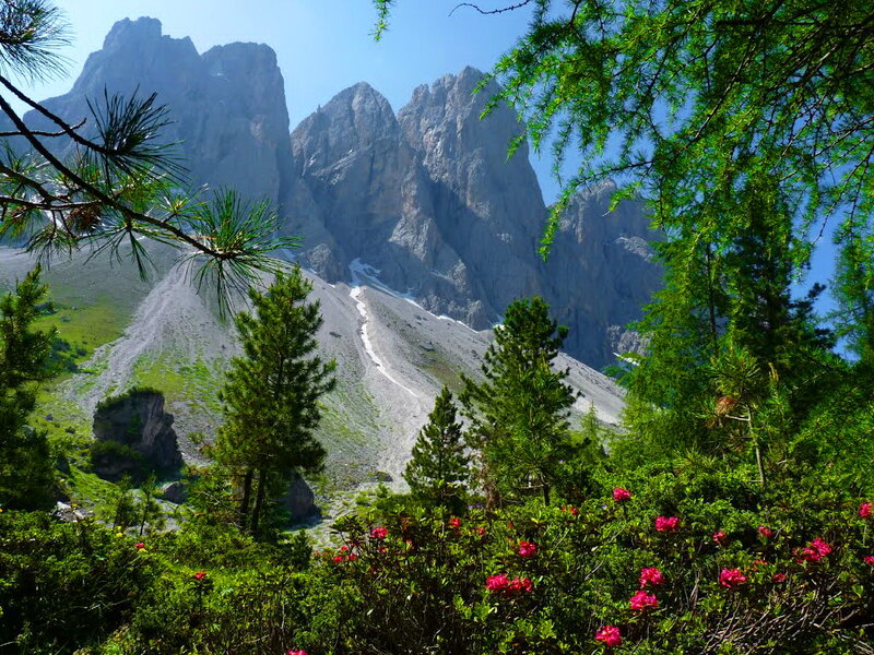 Mountain Peaks and Flowers — Green