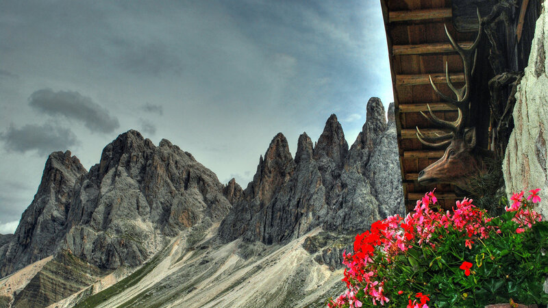 Mountain Peaks and Flowers
