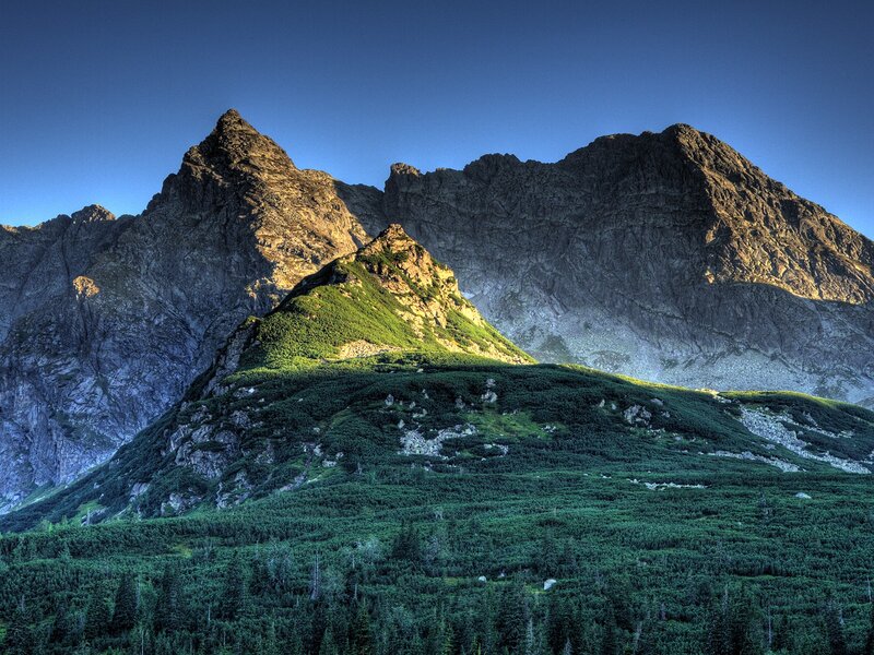 Mountain Peaks and Forest — Green, Dramatic