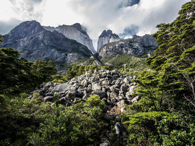 Mountain Peaks and Forest — Green