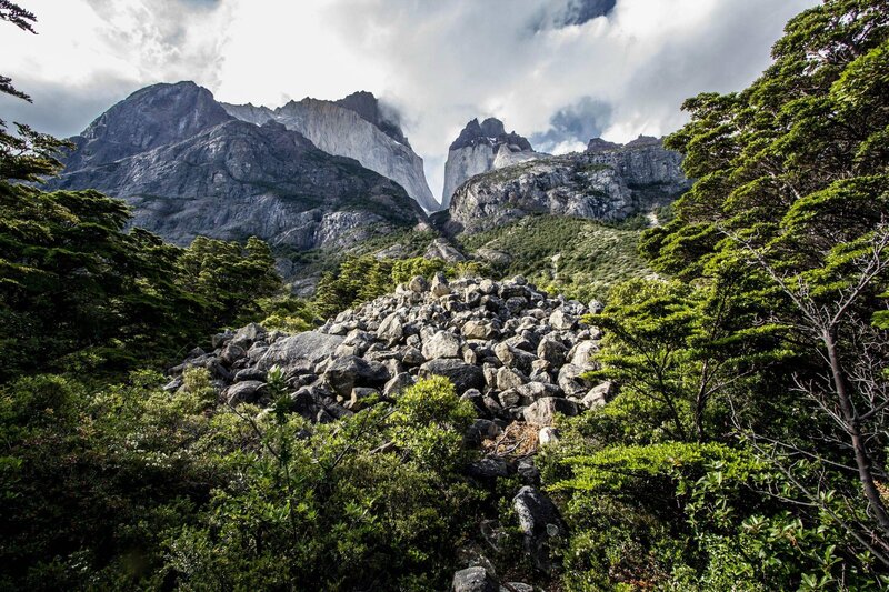 Mountain Peaks and Forest