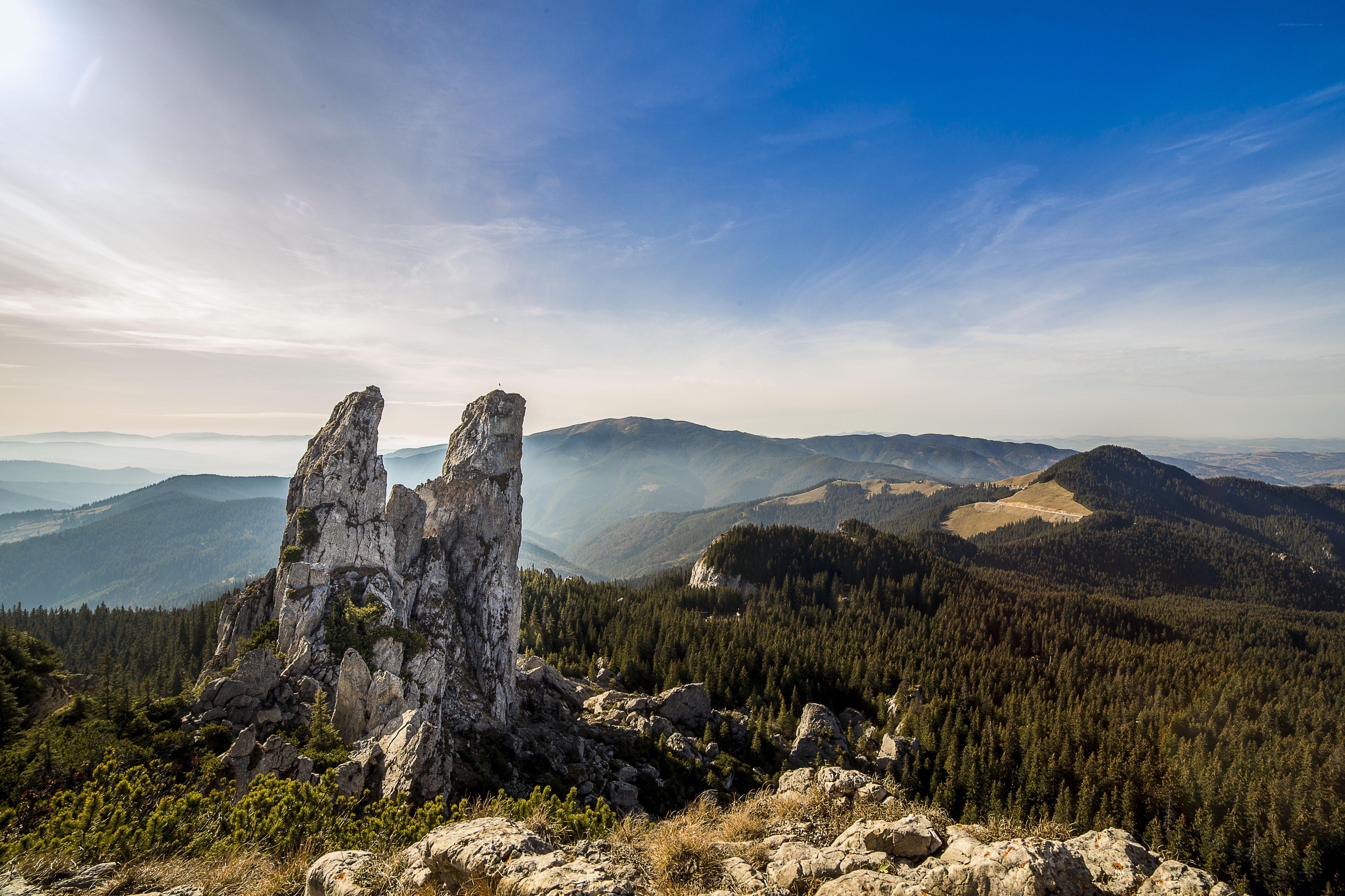 Mountain peaks and forest vista