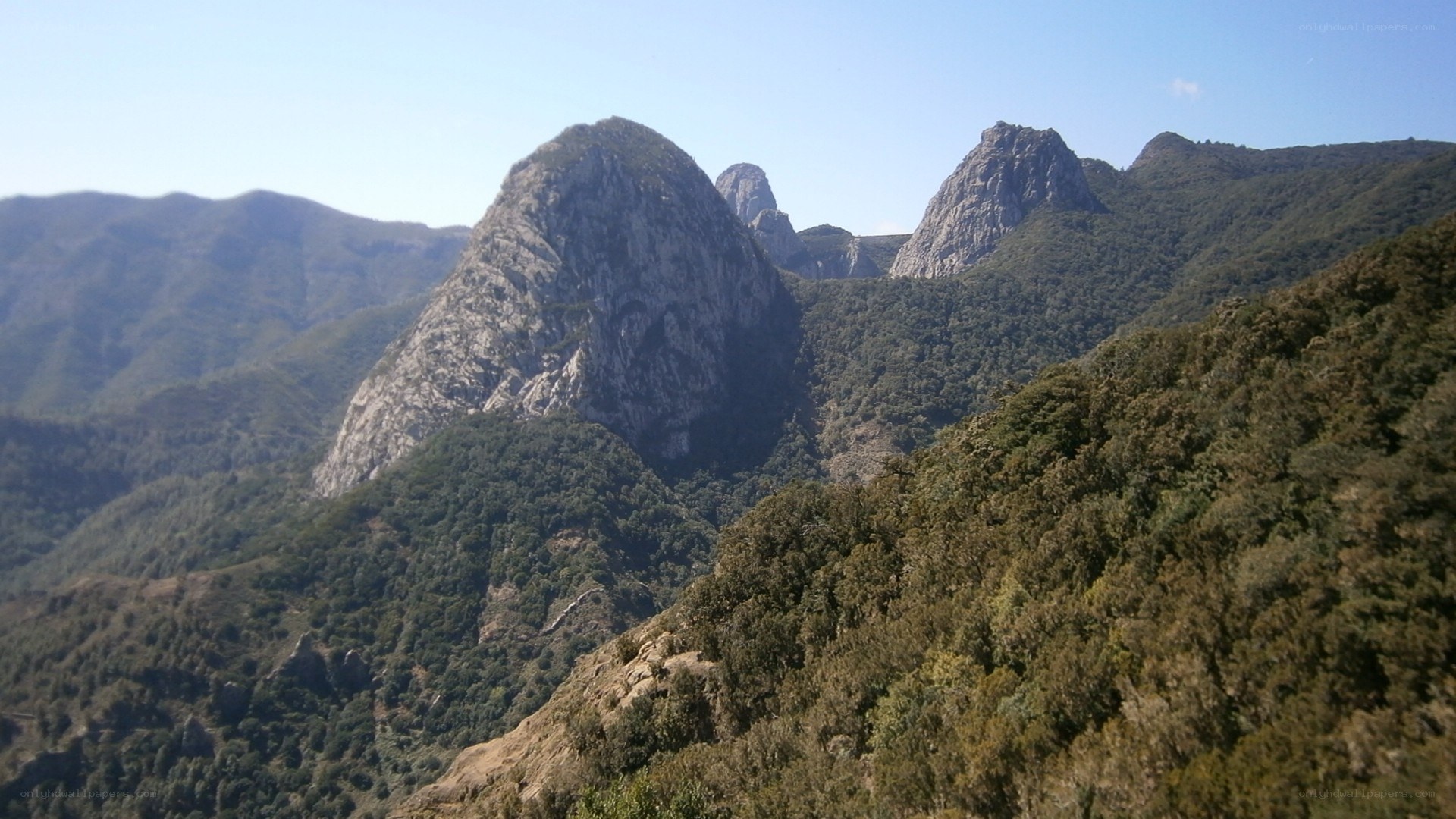 mountain peaks and forested hills