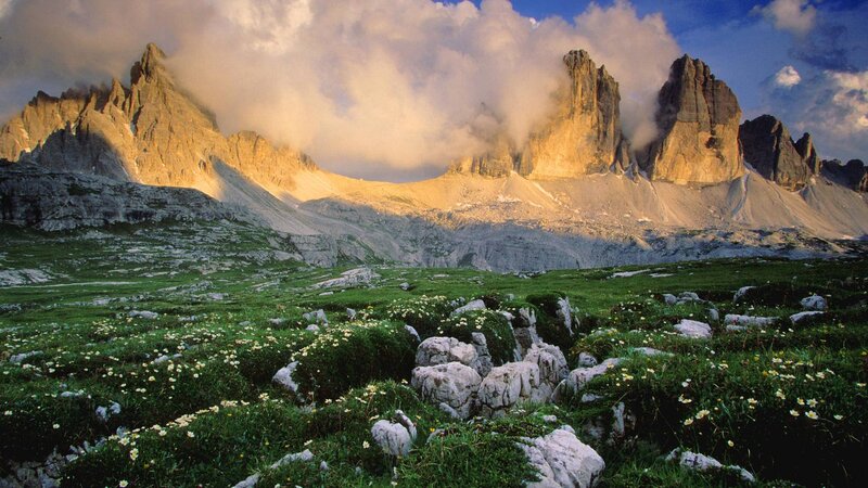 Mountain Peaks and Meadow — Green