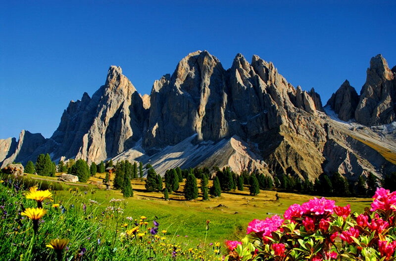 Mountain Peaks and Wildflowers