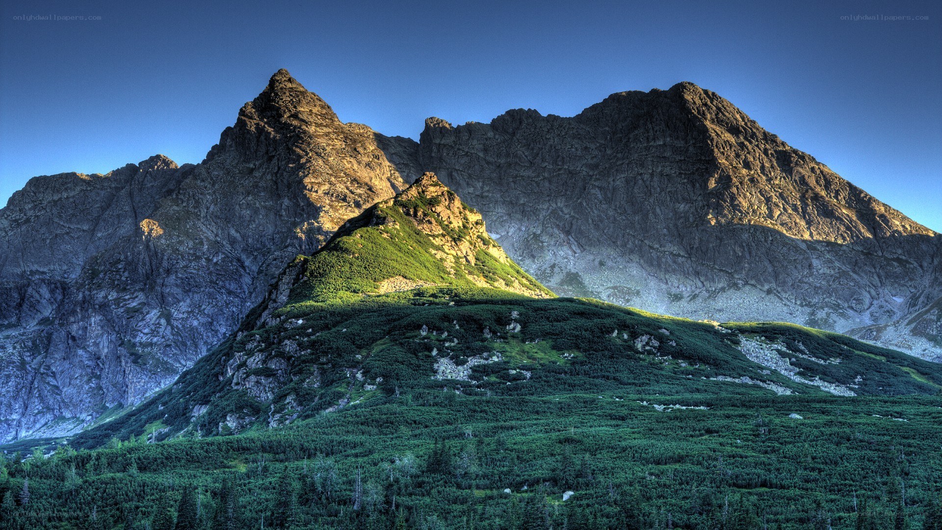 Mountain peaks at sunrise