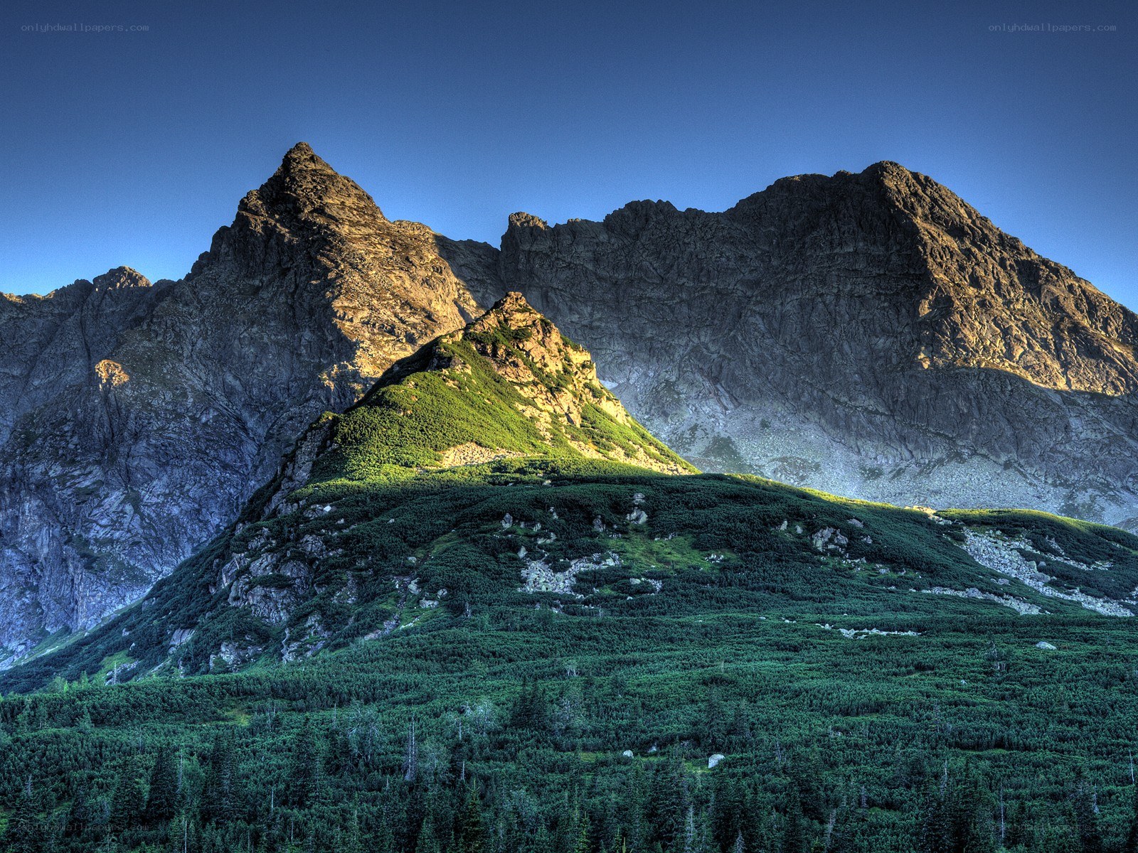 Mountain peaks at sunrise