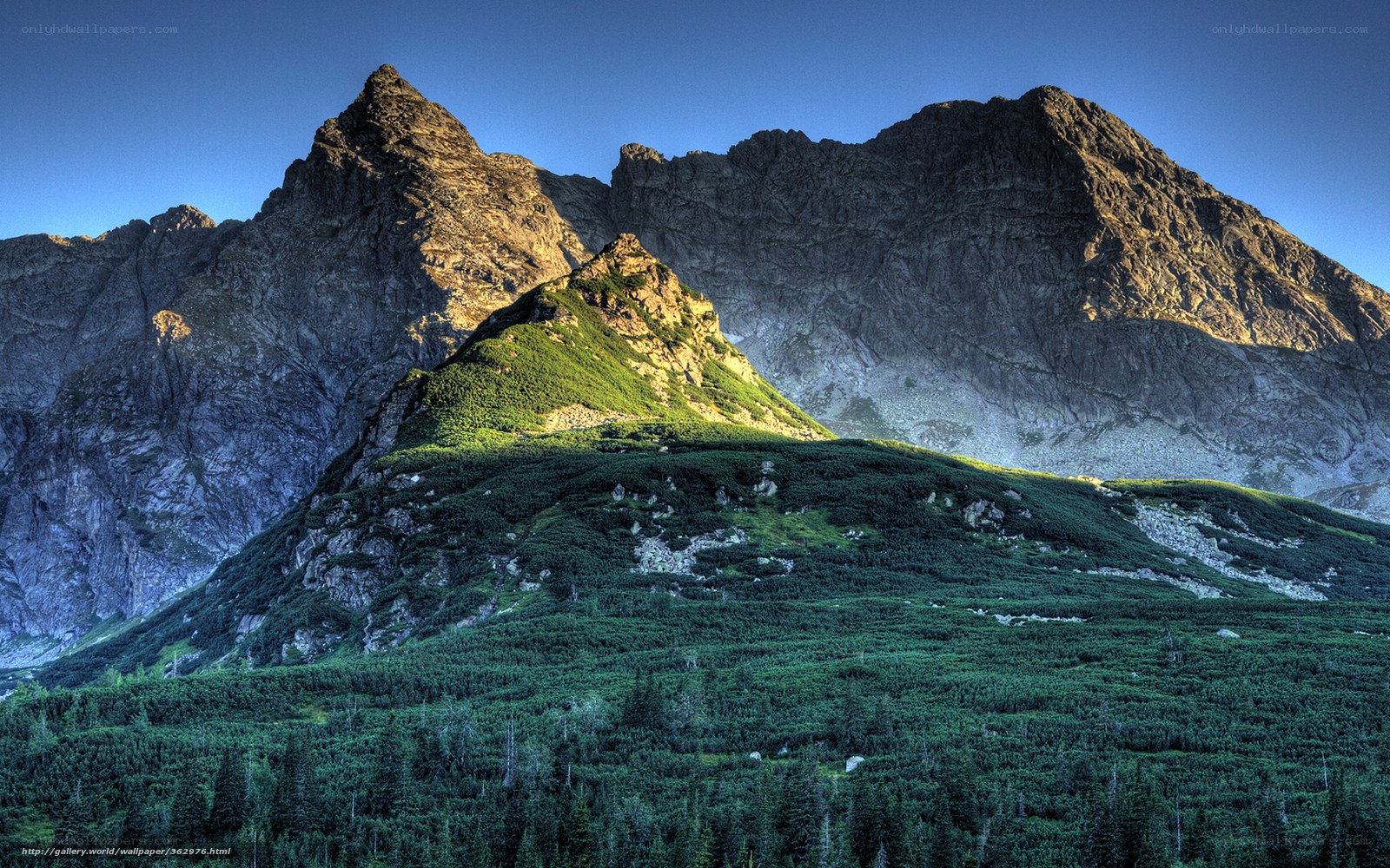 Mountain peaks at sunrise