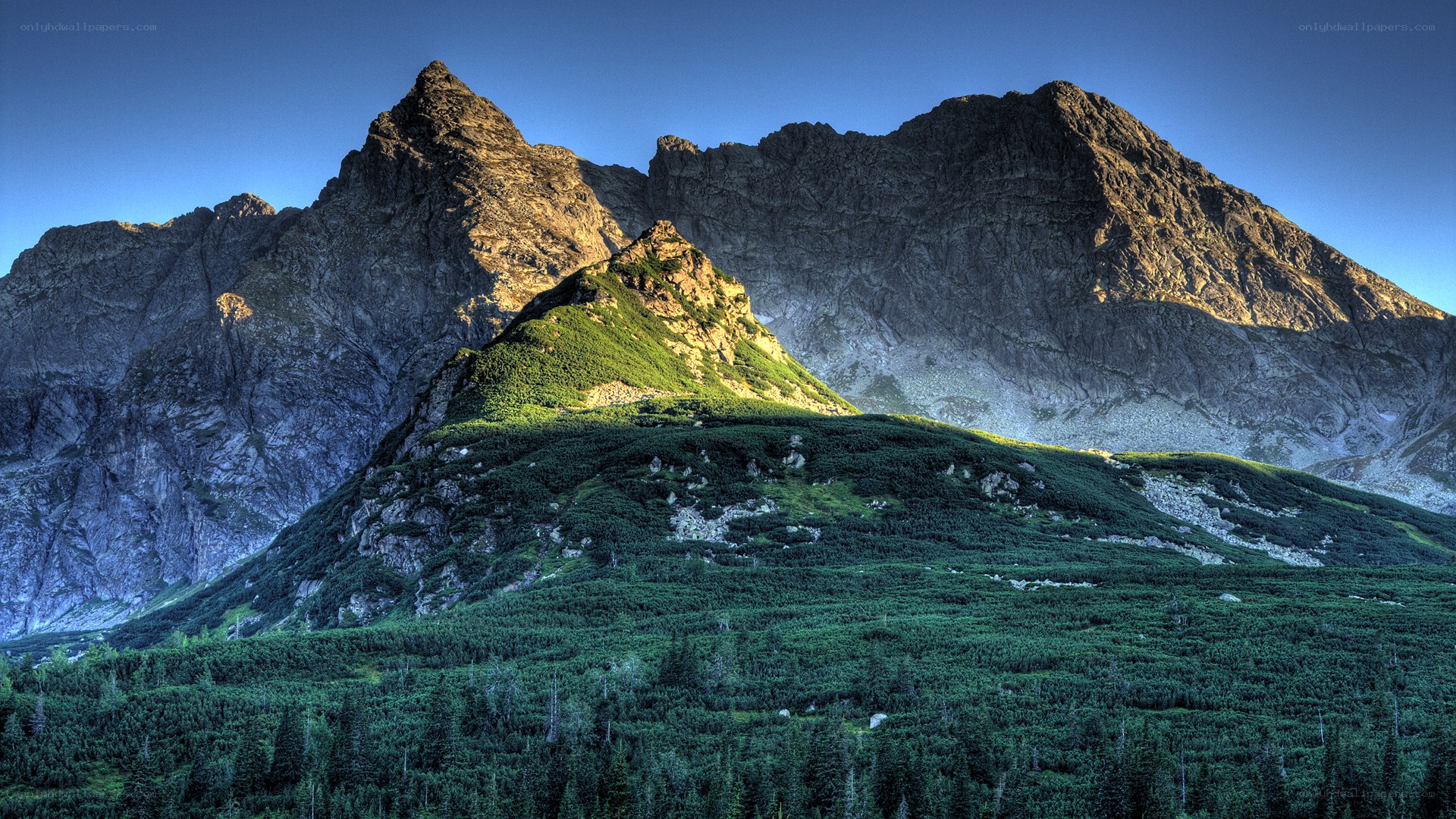 Mountain peaks at sunrise