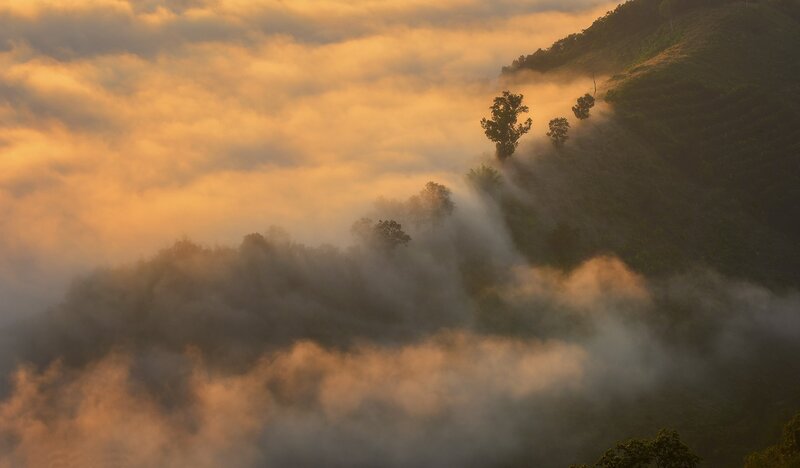 Mountain Peaks in Fog — Orange, Serene