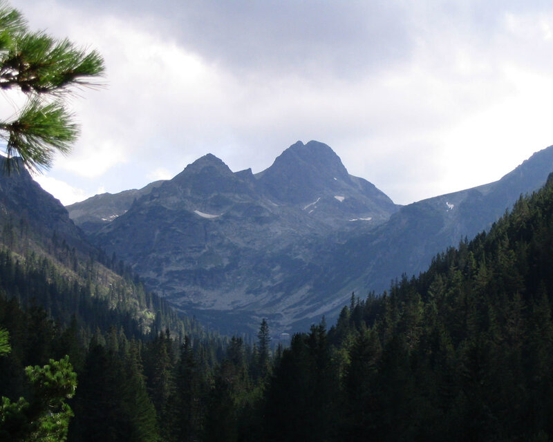 Mountain Peaks in Forest