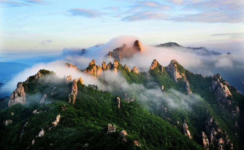 Mountain Peaks in Mist — Green