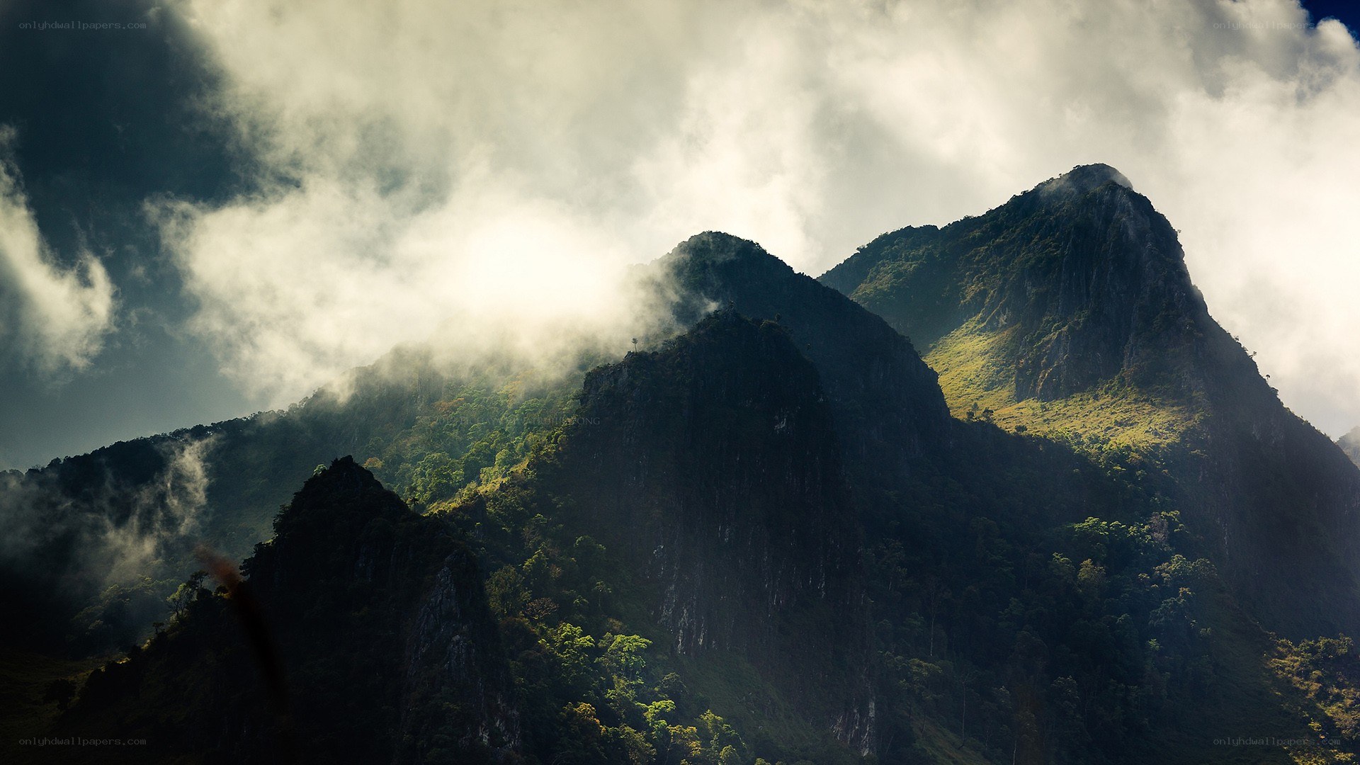 Mountain peaks shrouded in mist