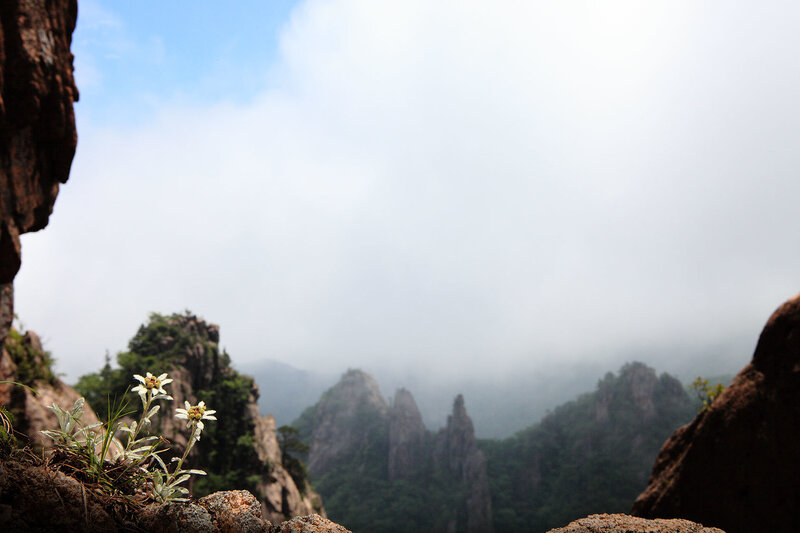 Mountain peaks through mist