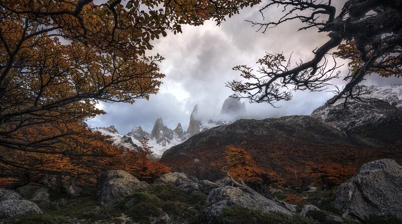 Mountain Peaks Through Trees
