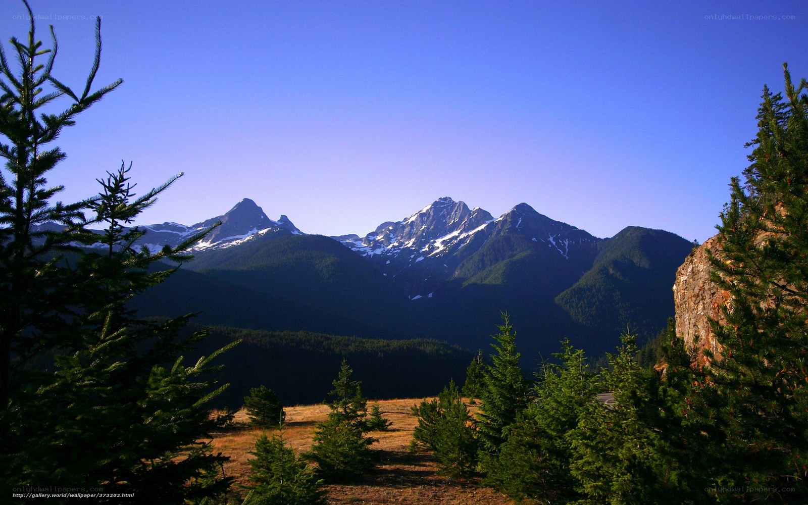 Mountain peaks with evergreen trees