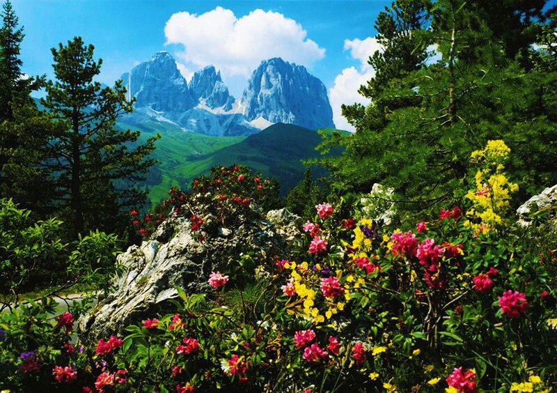 Mountain Peaks with Flowers — Green