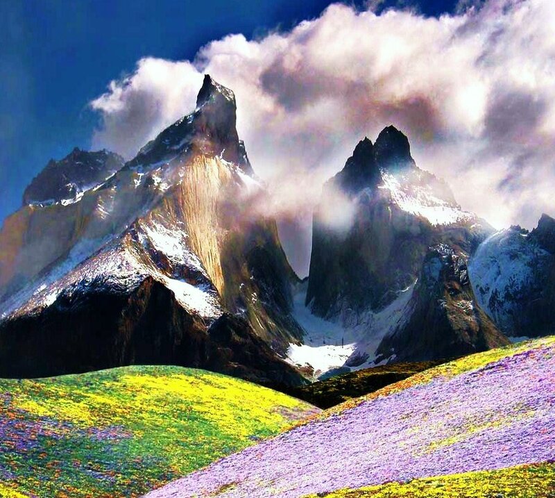 Mountain Peaks with Flowers