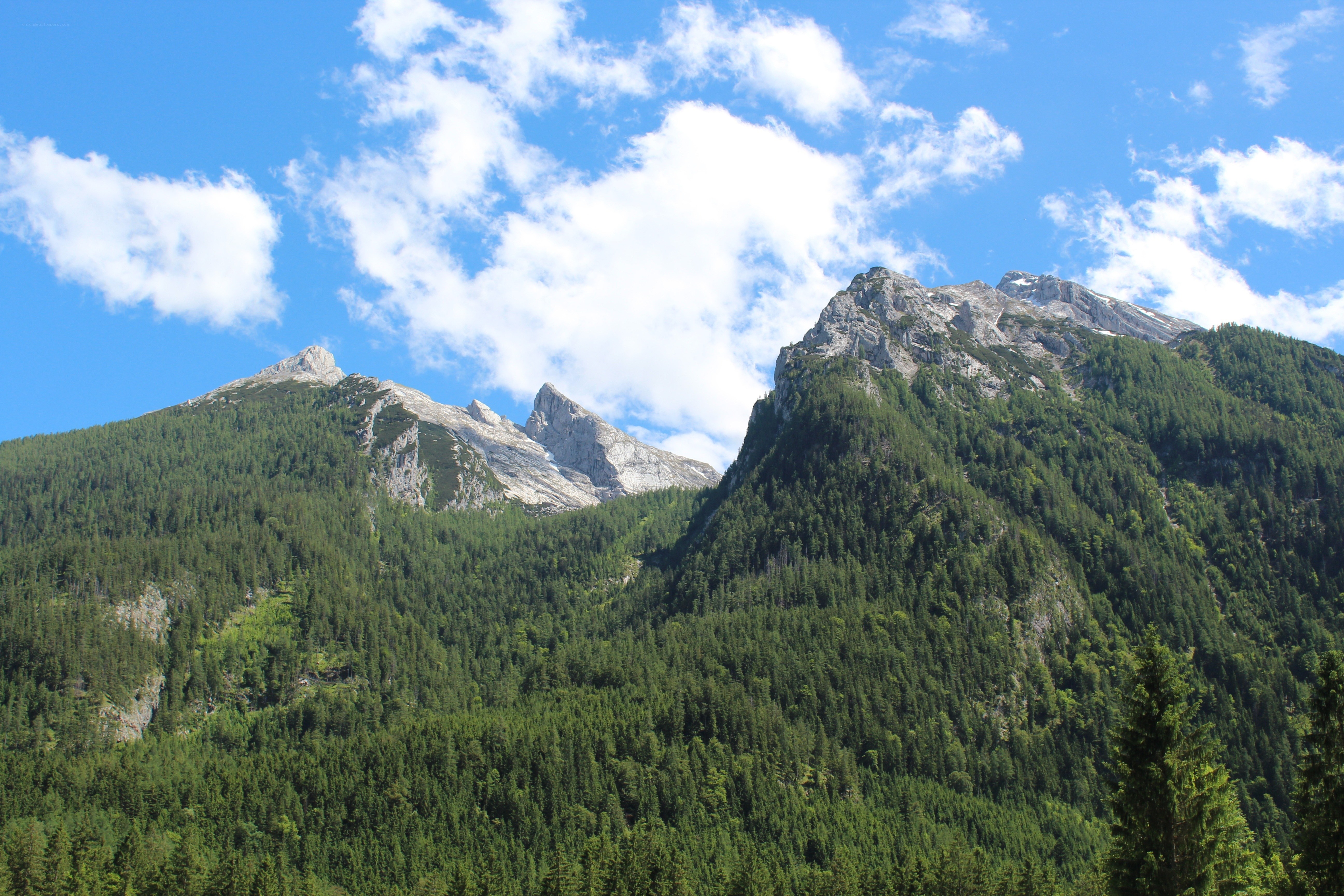 Mountain peaks with forest