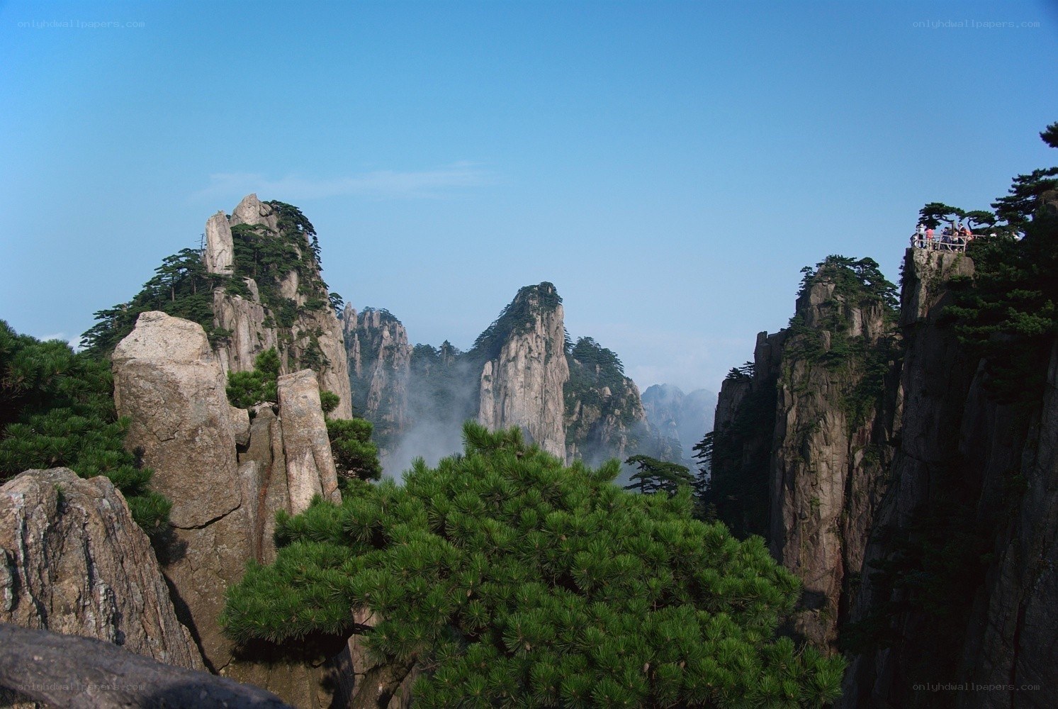Mountain peaks with pine trees