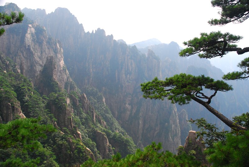 Mountain peaks with pine trees