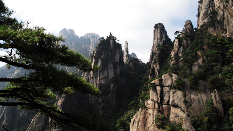 Mountain Peaks with Pine Trees — Gray
