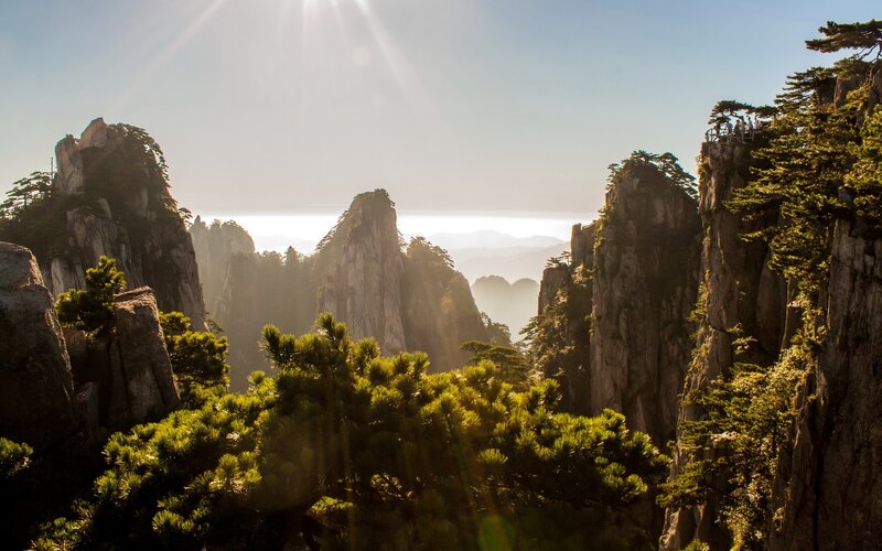 Mountain Peaks with Pine Trees — Green, Serene