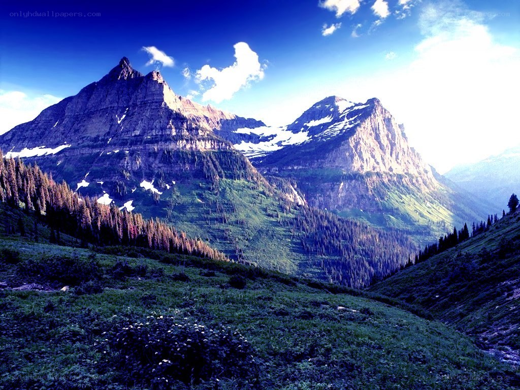 Mountain peaks with snow and forest