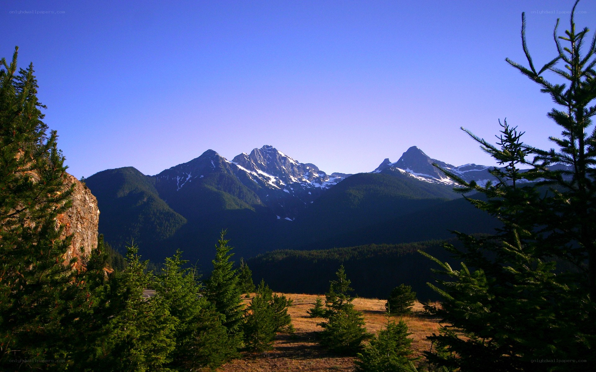 Mountain peaks with snow and trees
