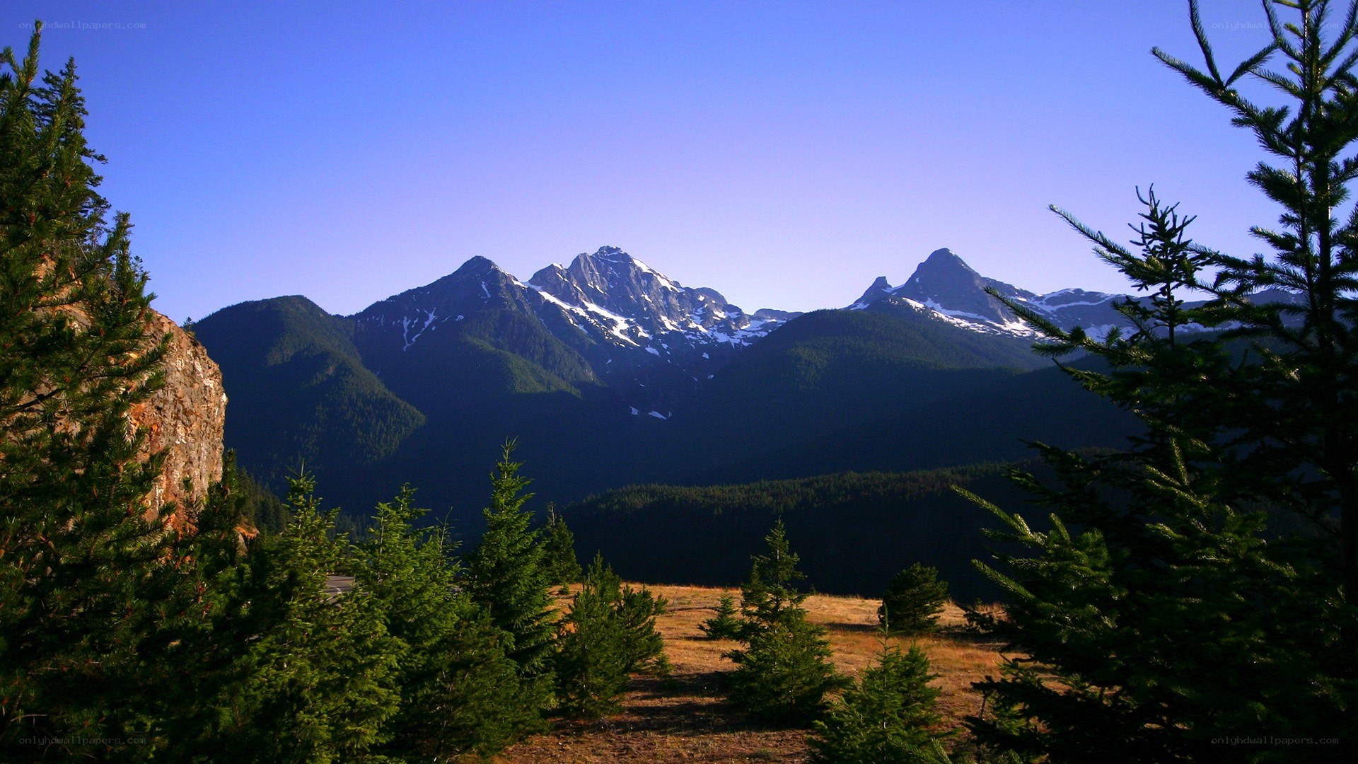 Mountain peaks with snow and trees